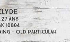 Strathclyde - 1987/2015 - 27yo - 51,5% - Cask 10804 - Douglas Laing - Old Particular